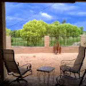 Meet your Posher, Vicki